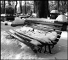 Avatar Uytkownika